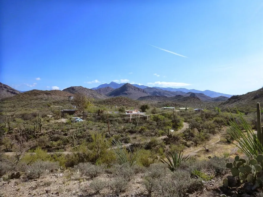 A scenic view of a desert mountain landscape with cacti and scrub brush, under a clear blue sky.