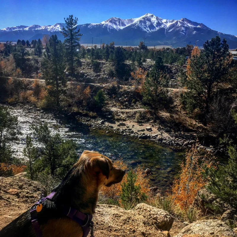 Autumn Run photo 9