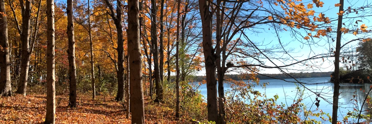 Autumn Squatch 10K, 20K & 50K photo 1