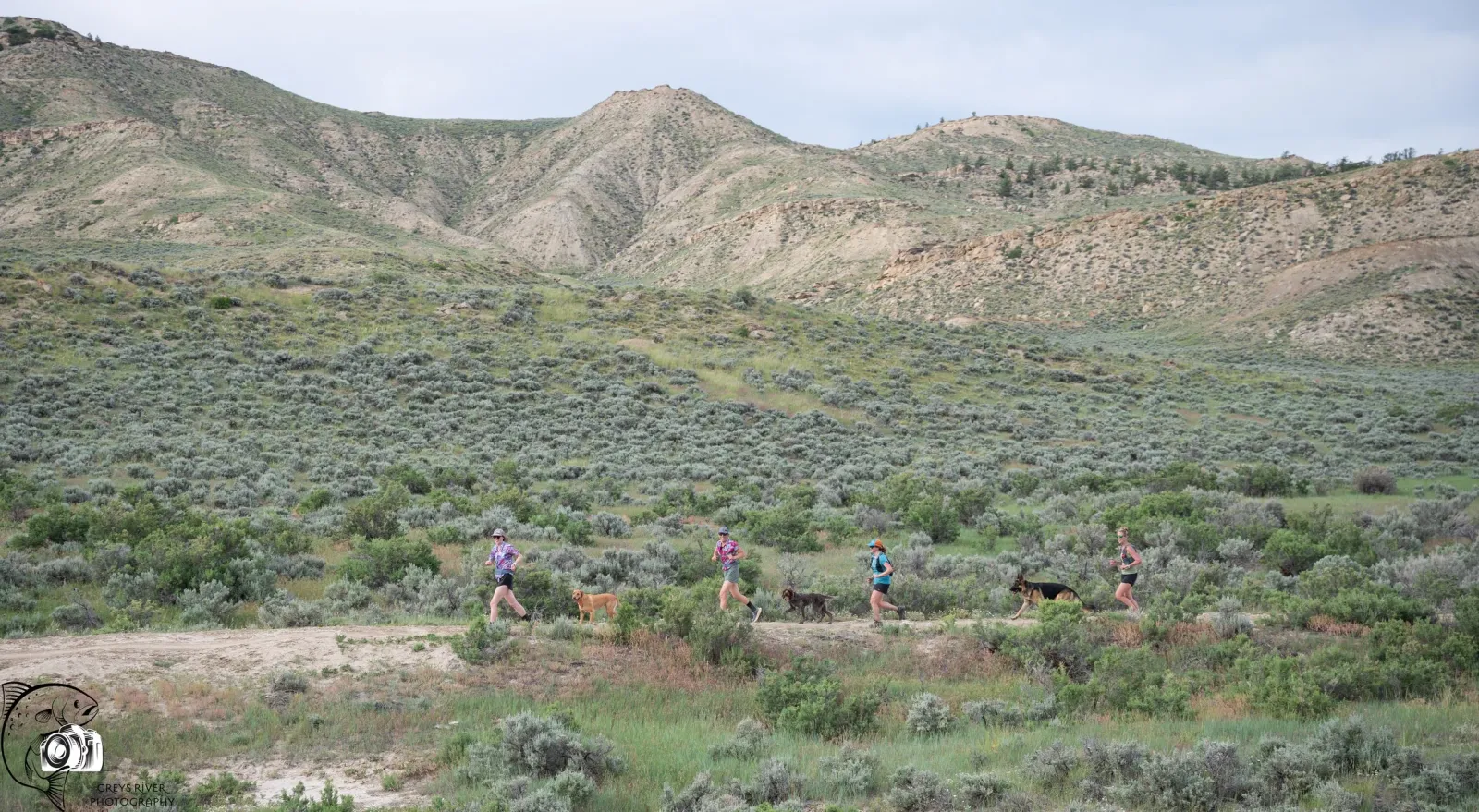 Runners and dogs on a dirt trail with rolling hills and sagebrush in the background.