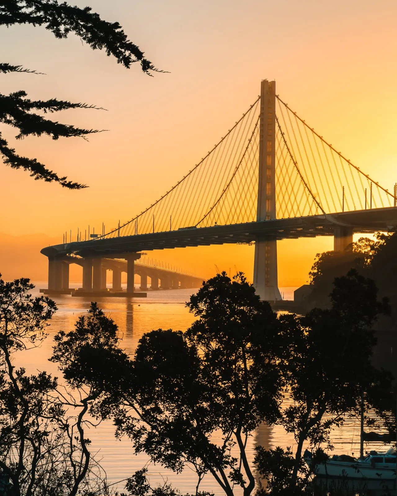 The Bay Bridge at sunset with calm water in the foreground and silhouetted trees.