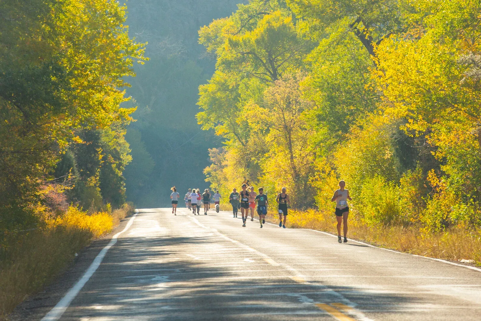 Runners on a road course surrounded by trees with autumn foliage.