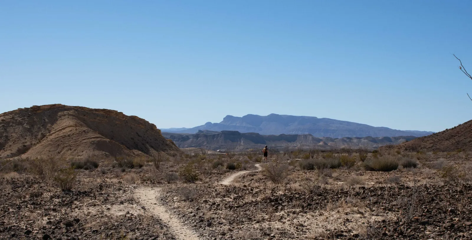 A lone runner on a desert trail with mountains in the background.