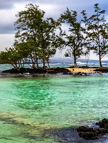 Big Island International Marathon 2027  30 years running the old coast of Hawaii photo 6