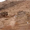 A lone runner ascends a dusty trail on a dry, hilly landscape.