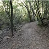 Calero Trail Run photo 3