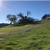 Calero Trail Run photo 4