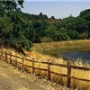 Calero Trail Run photo 5