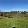 Calero Trail Run photo 7