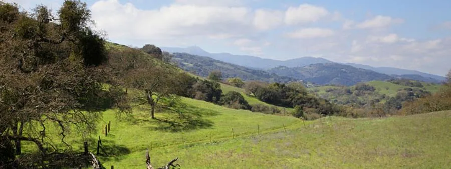 Calero Trail Run photo 1