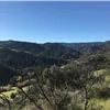 Calero Trail Run photo 8