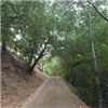Calero Trail Run photo 6