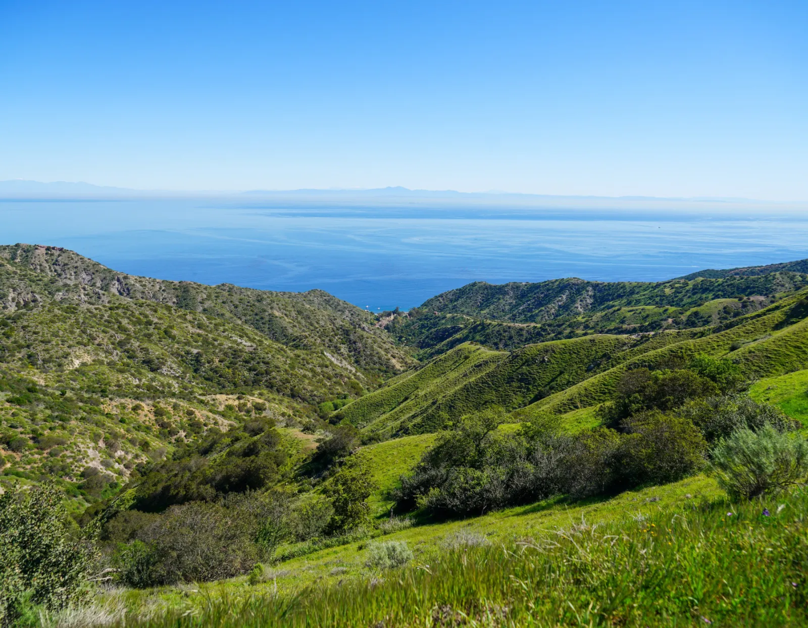 A scenic view of rolling green hills leading down to the blue ocean under a clear sky, likely part of the Catalina Island Half Marathon course.