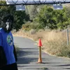 Person in a gorilla costume standing on a paved path with a traffic cone.
