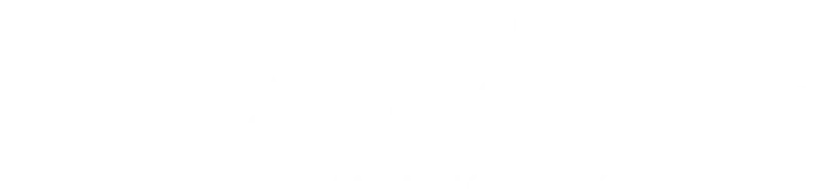 Chicago Spring Half Marathon