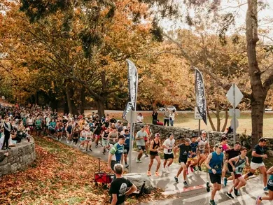 A large group of runners participating in a half marathon, with colorful autumn trees lining the road.