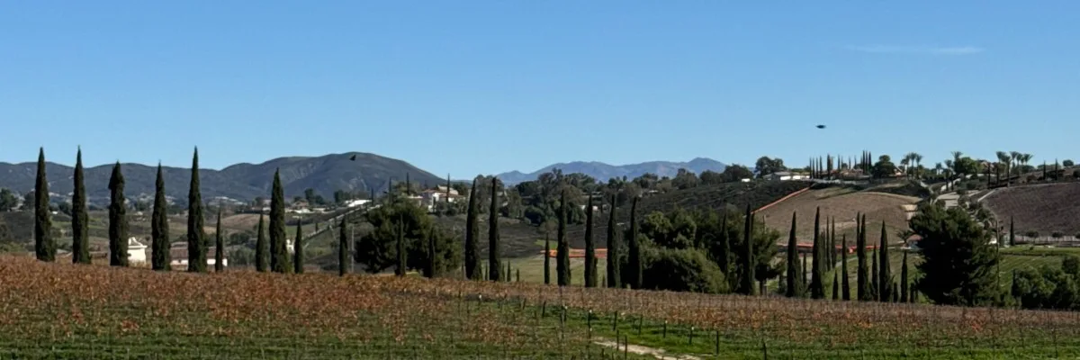 Cycle Through the Vineyards photo 4