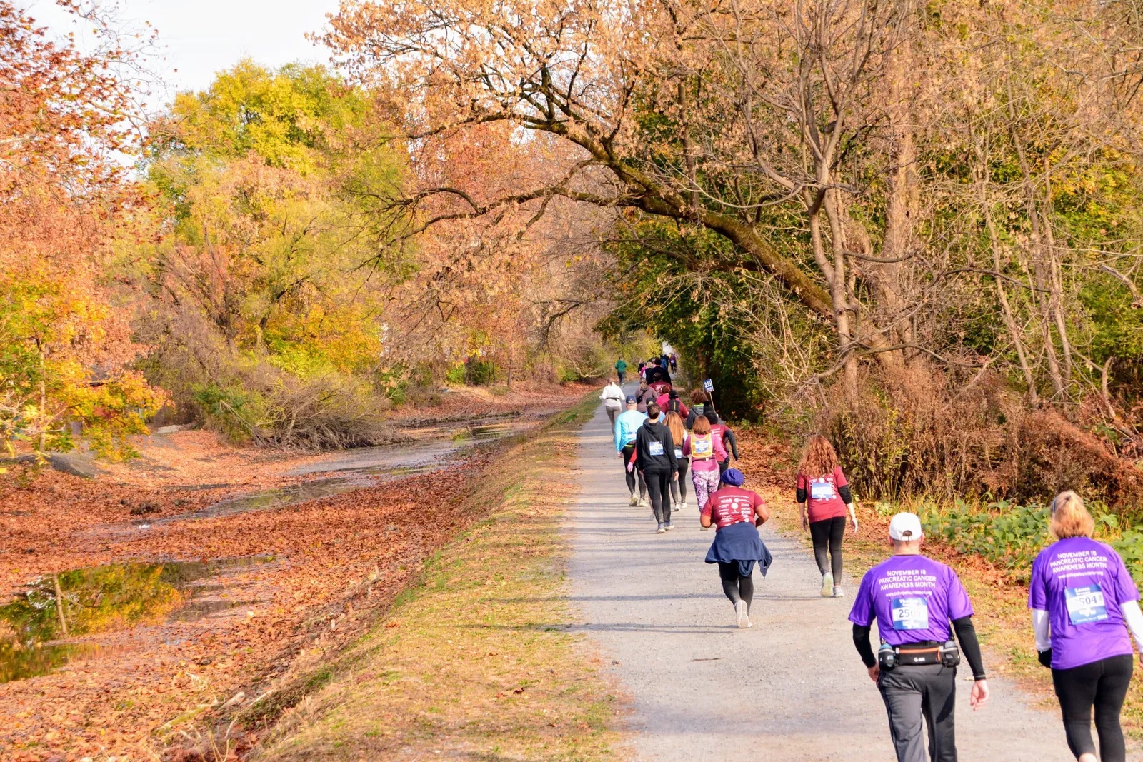 Runners on a path lined with trees in autumn colors.