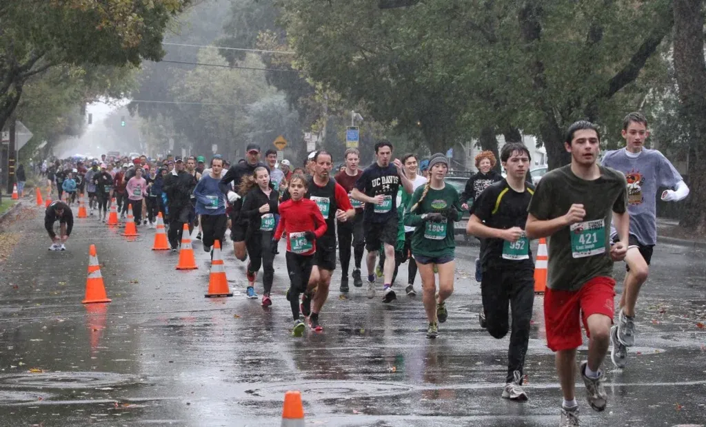 A group of runners on a wet road during a race, with trees and buildings in the background.