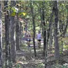 Devils Toll Race photo 1