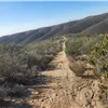 Dirty December Trail Run photo 6