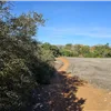Dirty December Trail Run photo 4