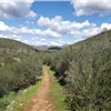Dirty December Trail Run photo 5