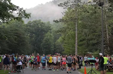 Runners gathered at the start line of the Drake Well Marathon and Half Marathon, with trees and misty hills in the background.