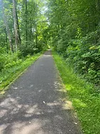 A paved trail winds through a lush green forest, with sunlight filtering through the trees.