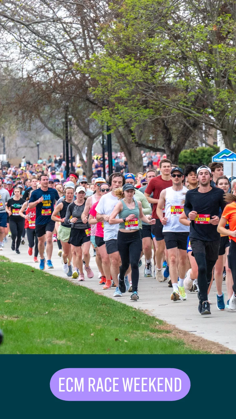 A large group of runners participating in a road race, with trees lining the path and spectators in the background.