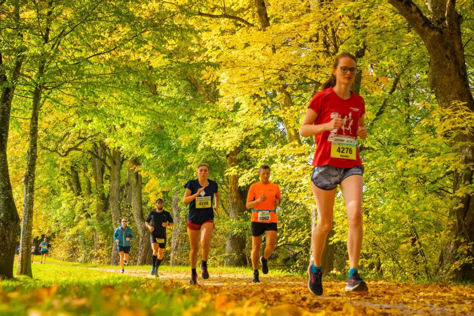 Runners on a path lined with trees displaying vibrant yellow and green fall foliage.