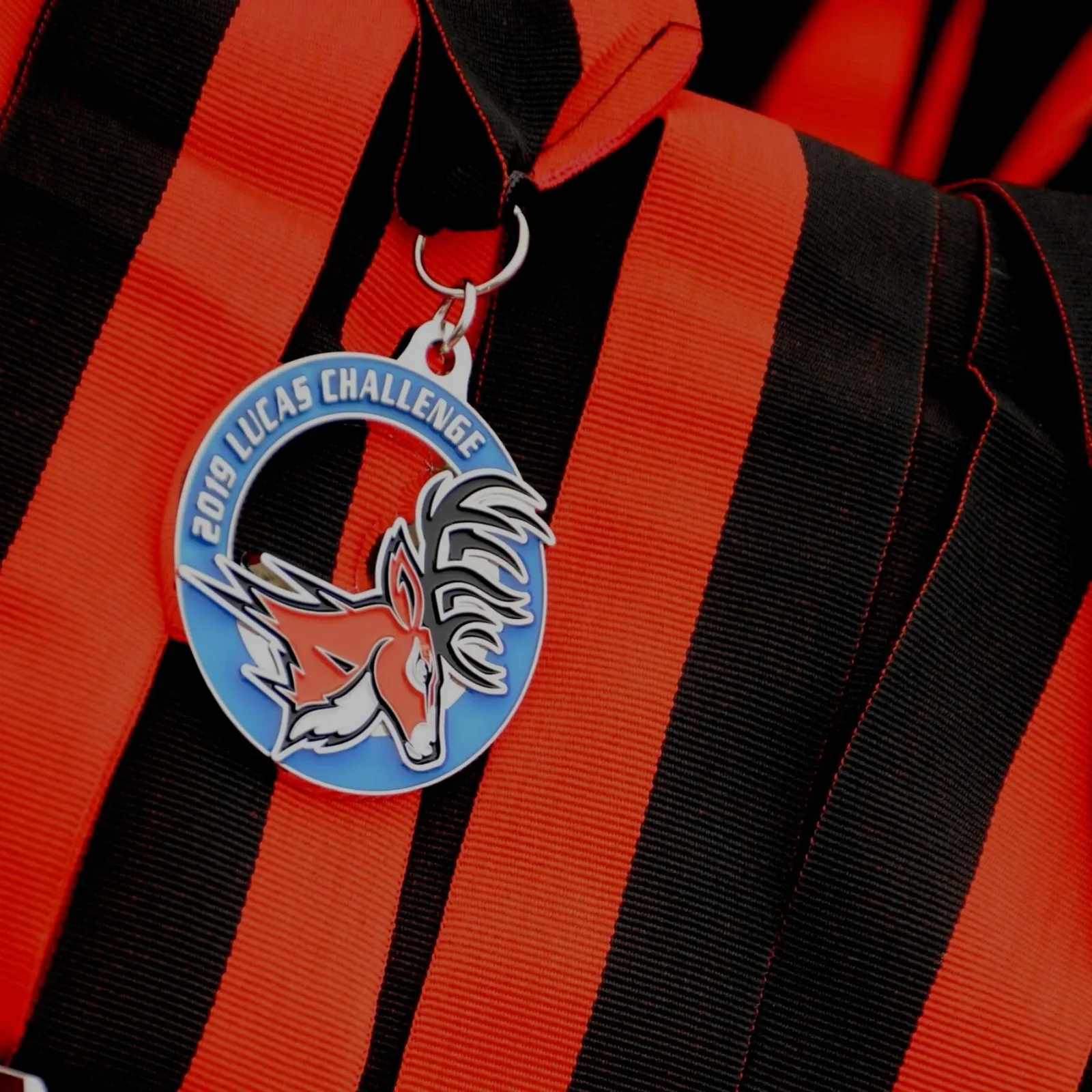 Close-up of a race medal with a deer graphic and the text '2019 LUCAS CHALLENGE' on a red and black striped ribbon.