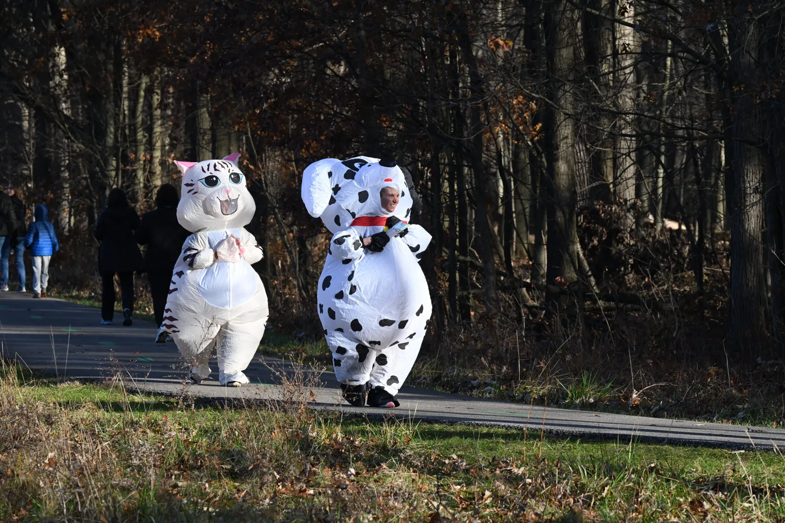 Two people in inflatable costumes, one a cat and one a Dalmatian, walking on a paved path through a forest.
