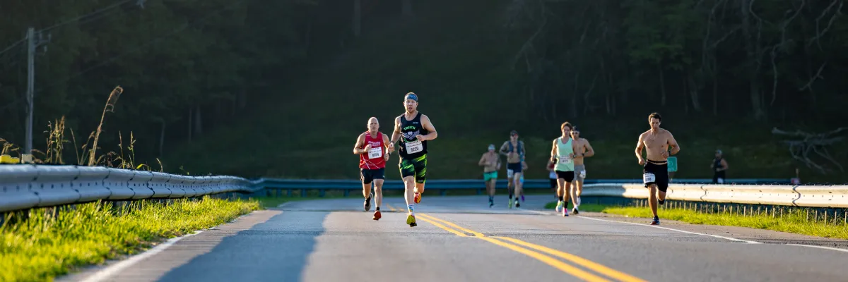 Runners on a road during a race, with trees in the background and a guardrail in the foreground.