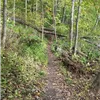 Farmdale Trail Run photo 6