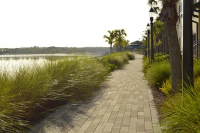 9th Annual - Fort Myers Half Marathon & 5k photo 5