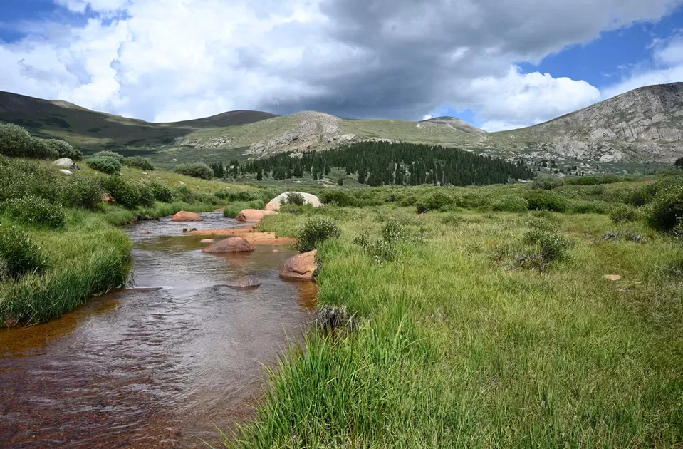 A scenic view of a mountain landscape with a stream flowing through grassy terrain and a forest in the background under a cloudy sky.