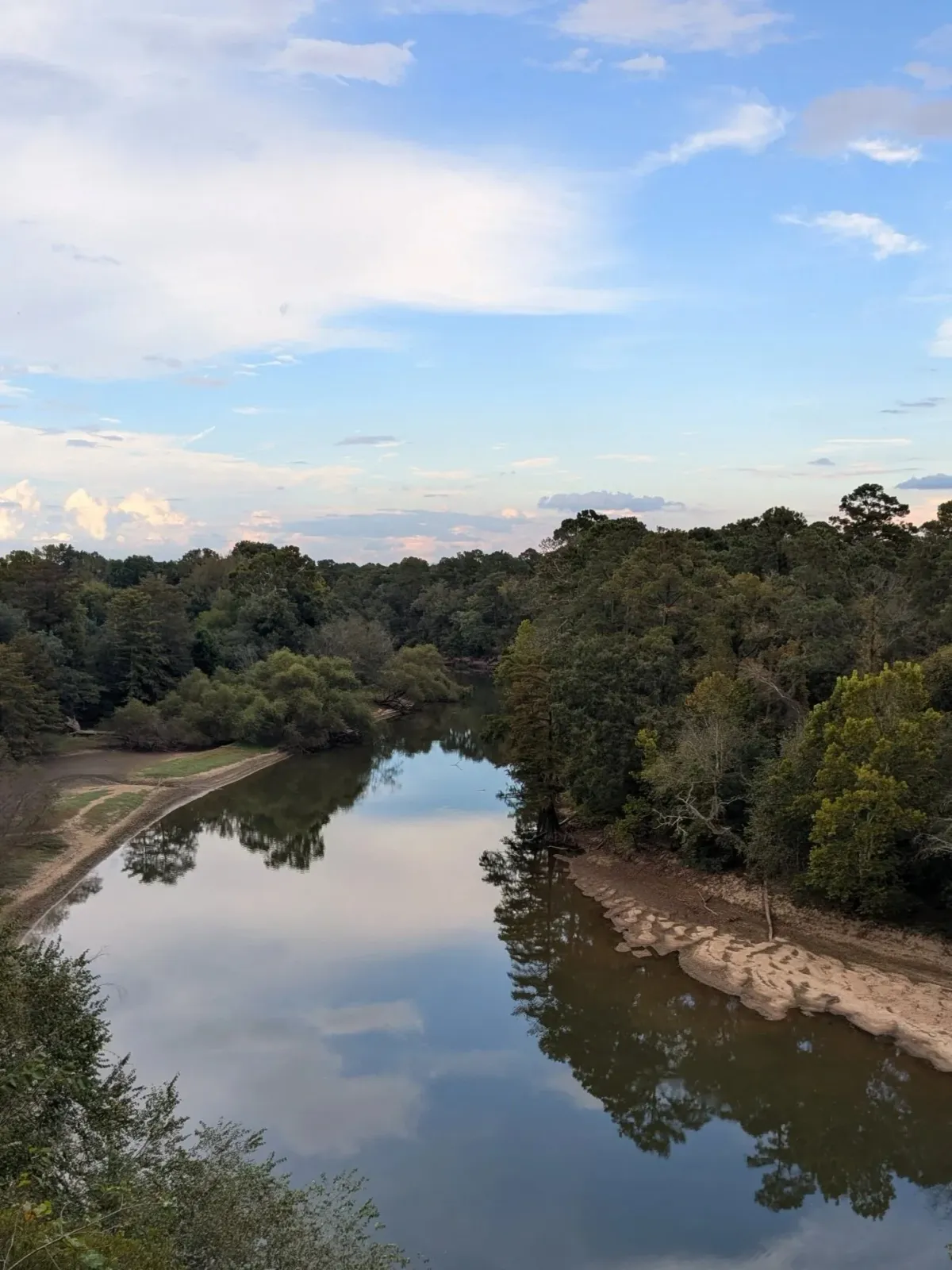 A wide river flows through a dense forest under a partly cloudy sky.