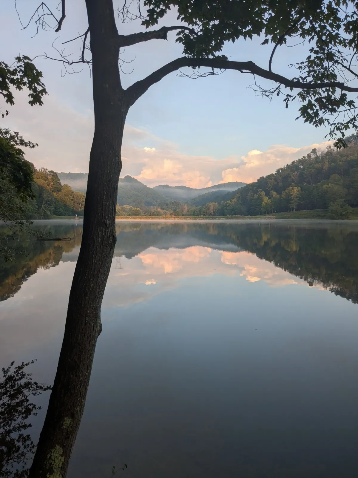 A serene lake with misty hills in the background and a tree in the foreground, reflecting the sky and clouds in the calm water.