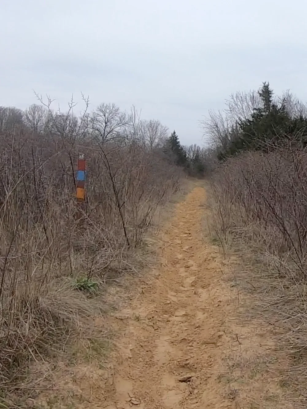 Grasslands Trail Run photo 7