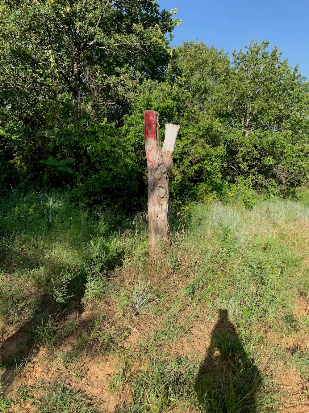 Grasslands Trail Run photo 9