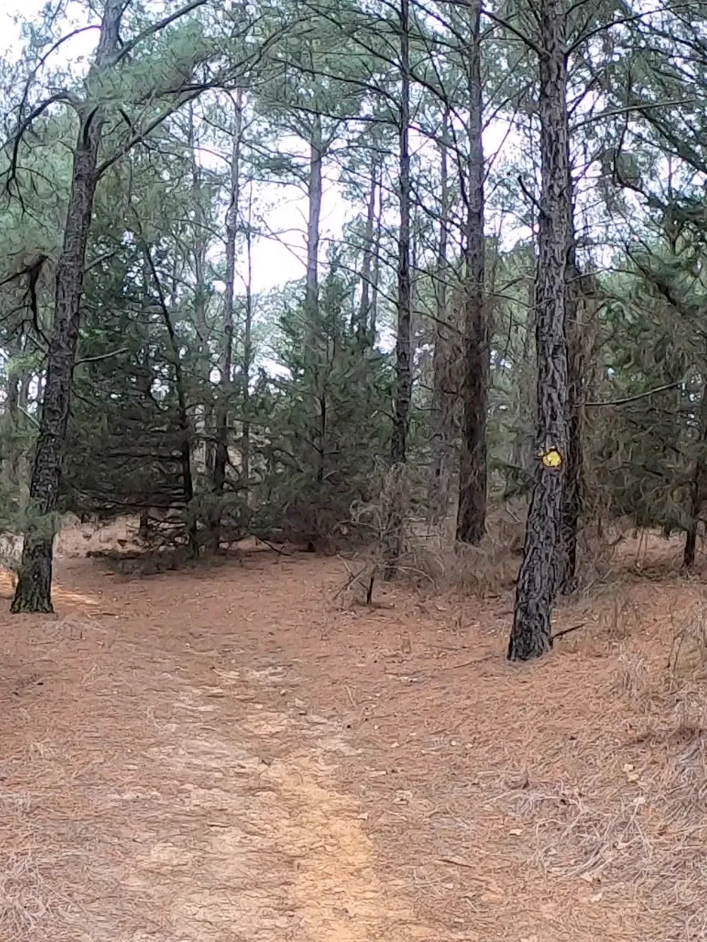 Grasslands Trail Run photo 11