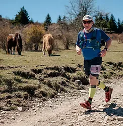 A male runner wearing a blue shirt, black shorts, and yellow socks runs on a dirt trail. Two horses are grazing in the background on a grassy hillside under a clear blue sky.