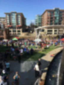 Greenville Half Marathon & 5K photo 1