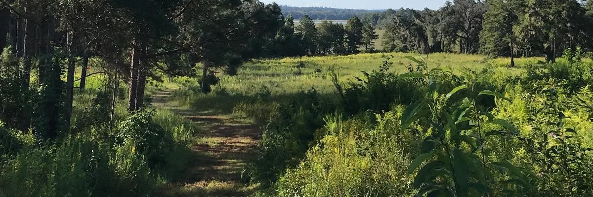 GWTC Pine Run 20K at Tall Timbers photo 1