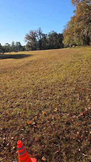 Holiday 5K, 10K, & 13.1M at Tallahassee, FL (49) photo 1