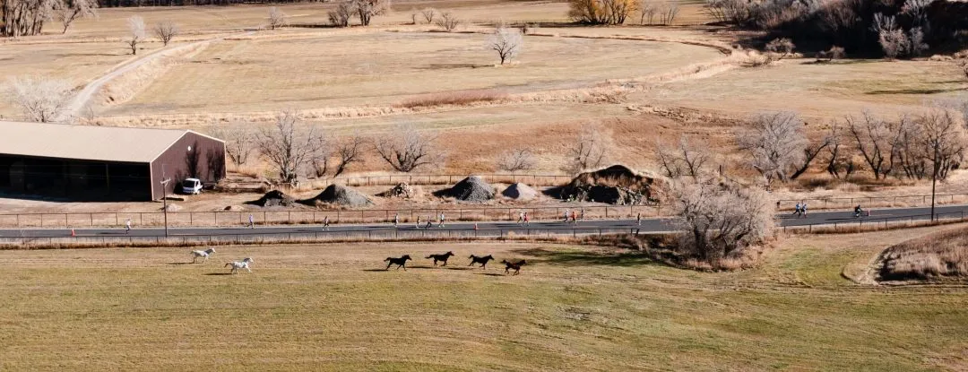 Runners on a road with a barn and horses in a rural landscape.