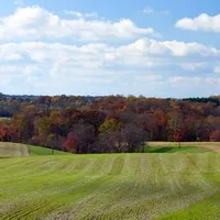 Rolling green fields with autumn trees in the background under a blue sky with clouds.