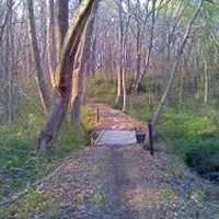 A wooded trail with a small bridge crossing a stream, bathed in soft sunlight.