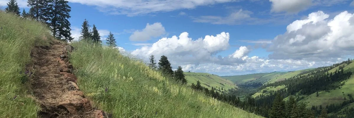 Jasper Mountain Trail Fest 2027 photo 1